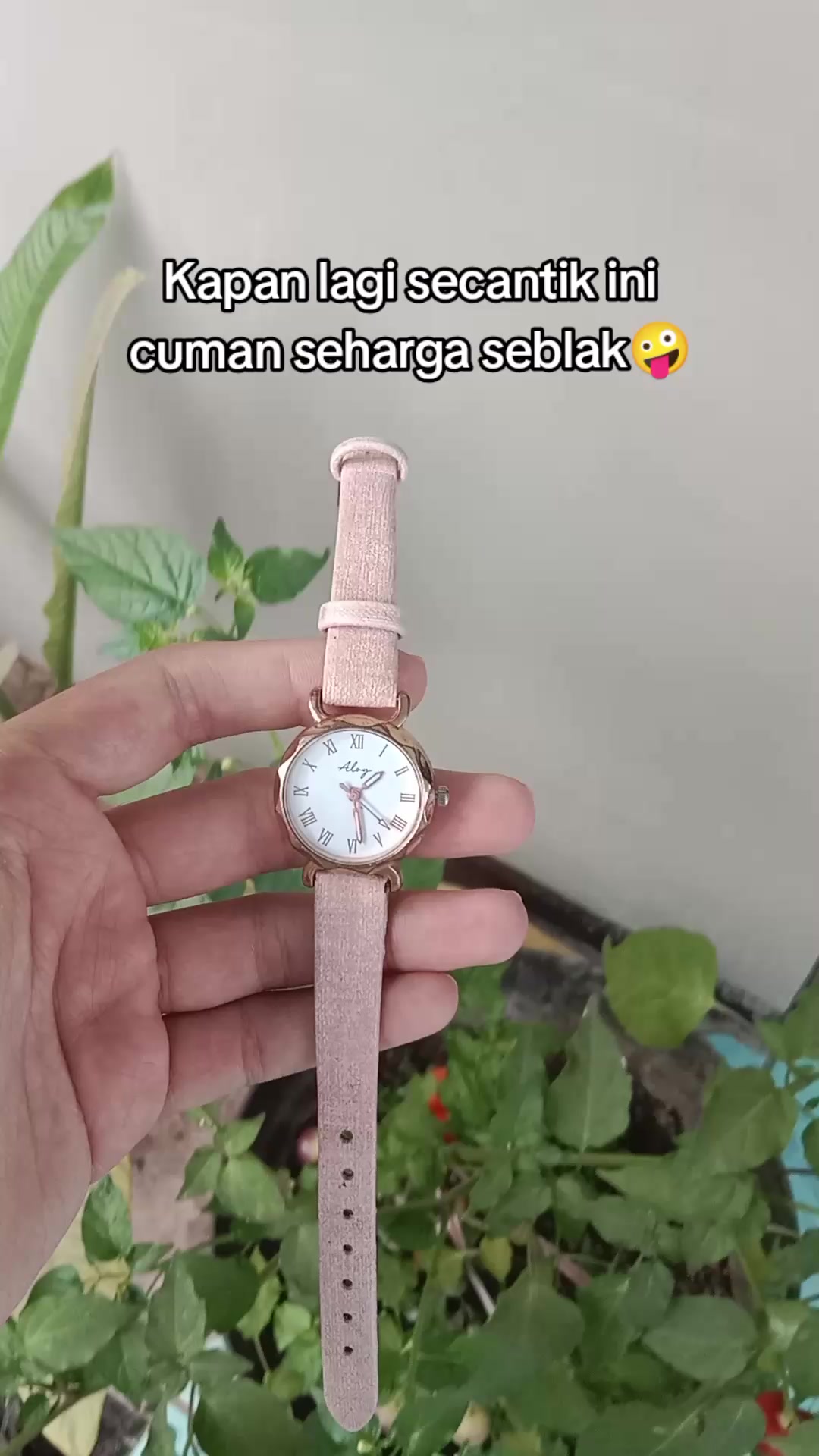 @S-tetik 🛒
