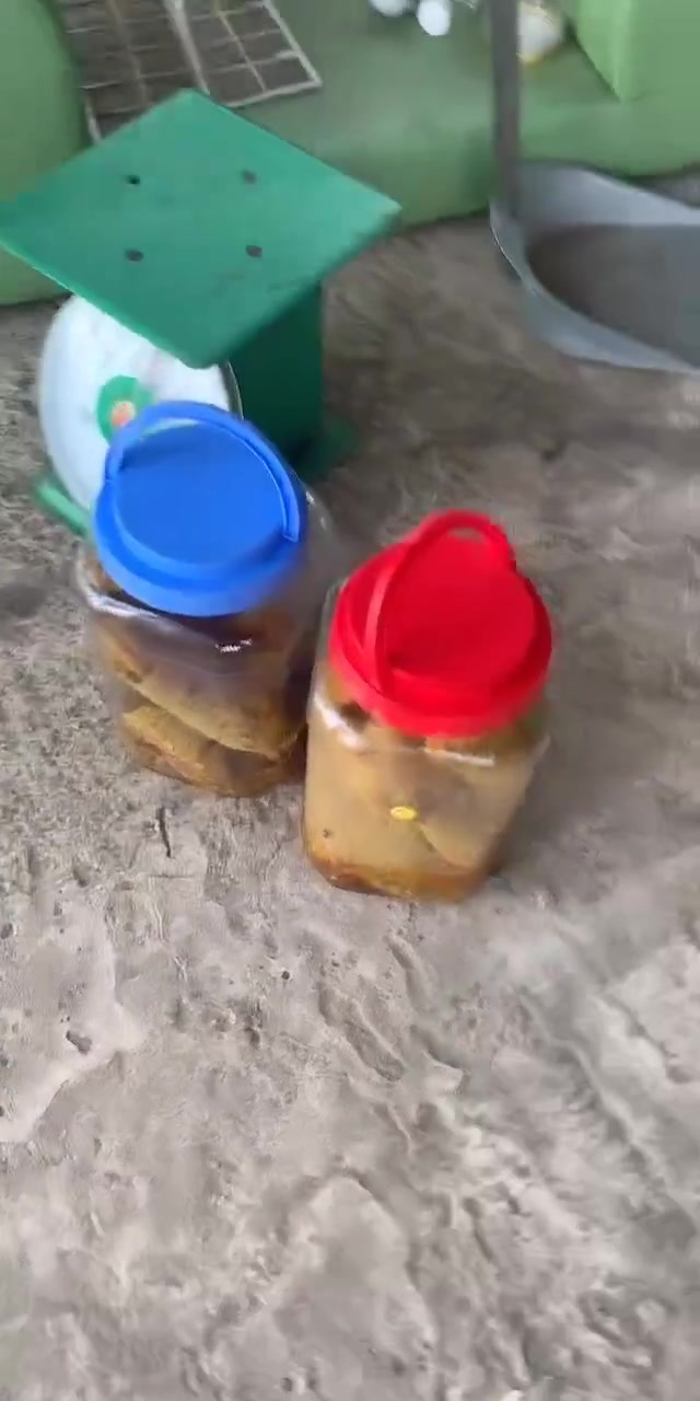 @Mật rừng THÀNH ĐẠT