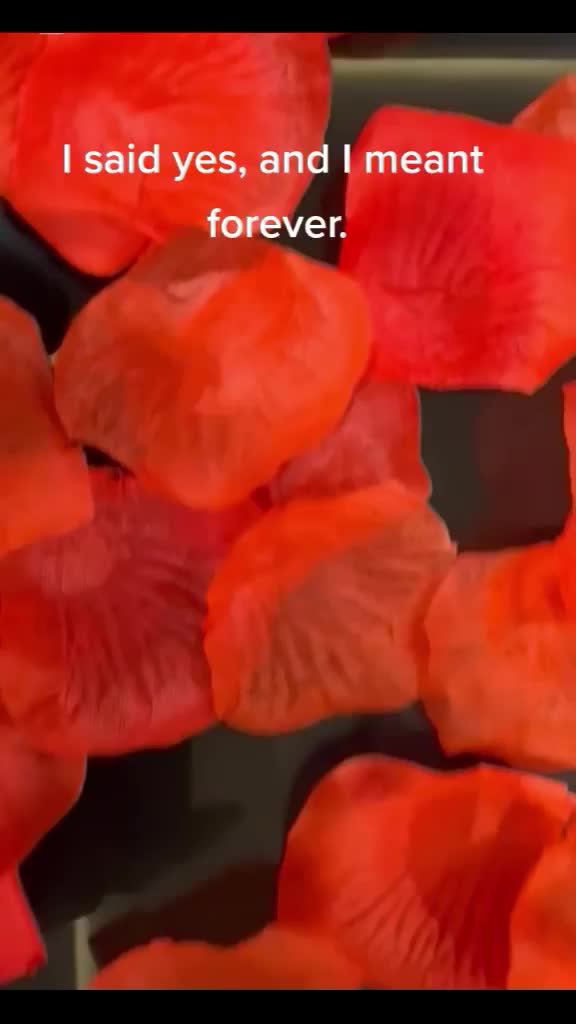 @Dimma ✨ 🤍