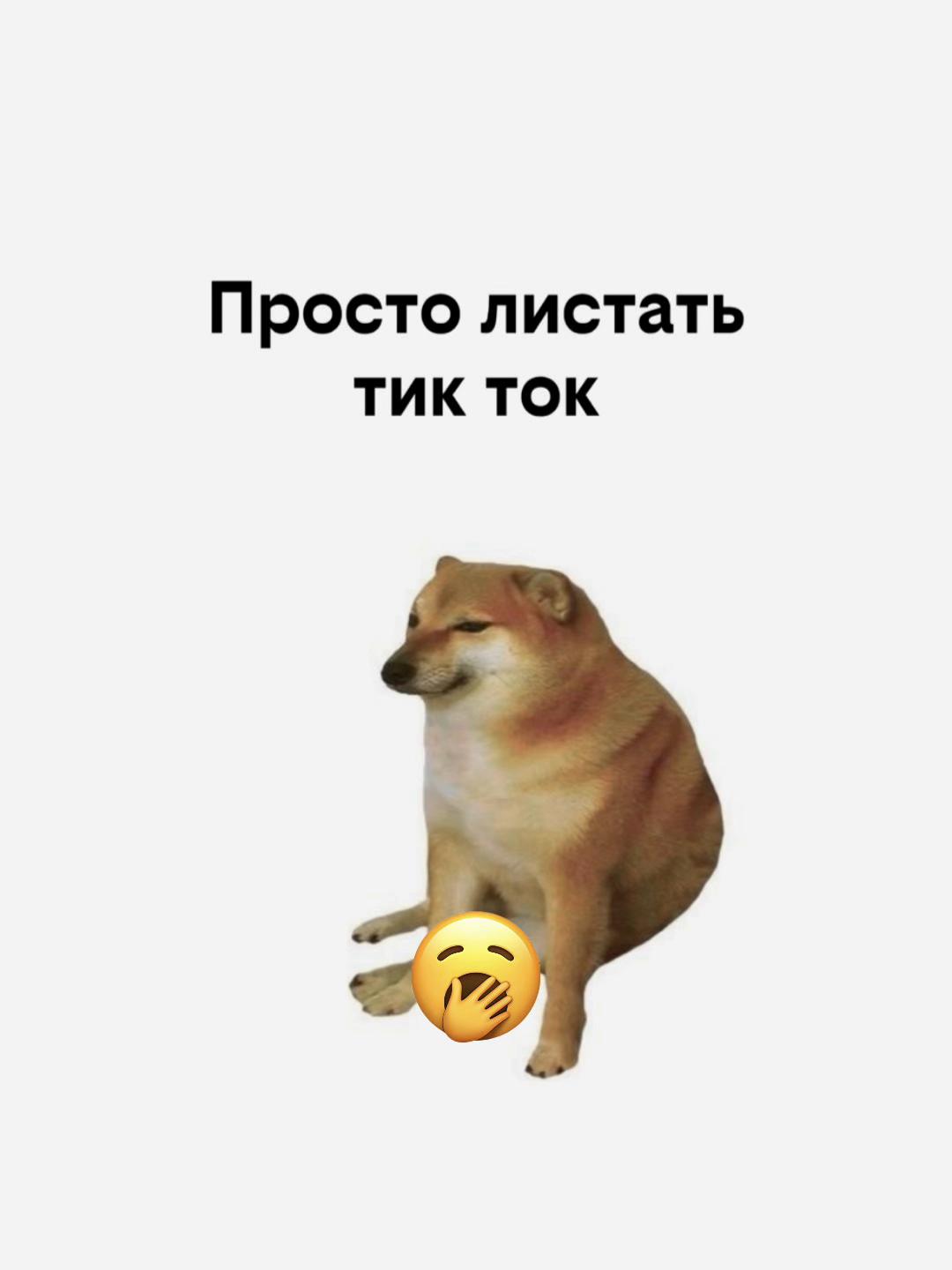 @user41211341154