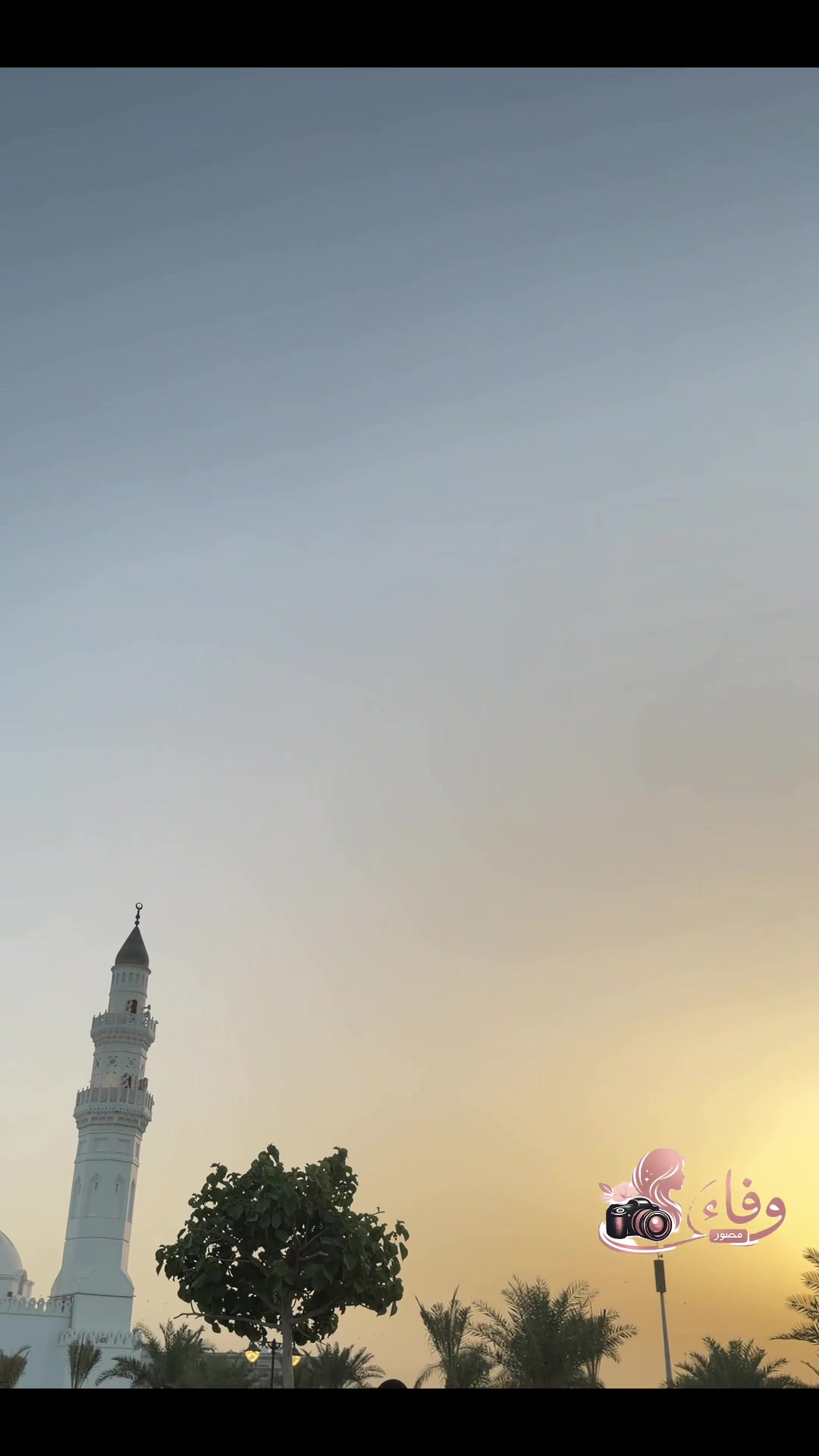 @وفاء 🌻🌱