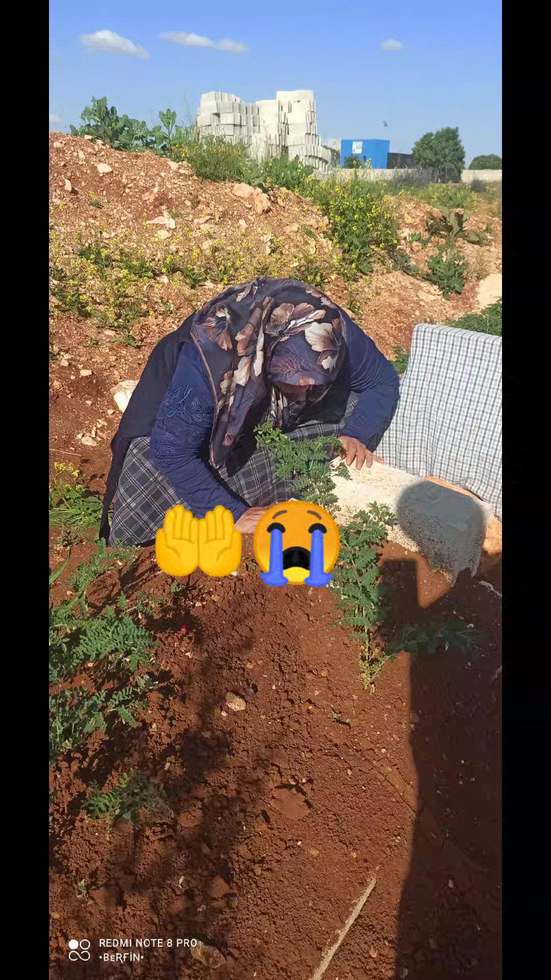 @nazire sıla