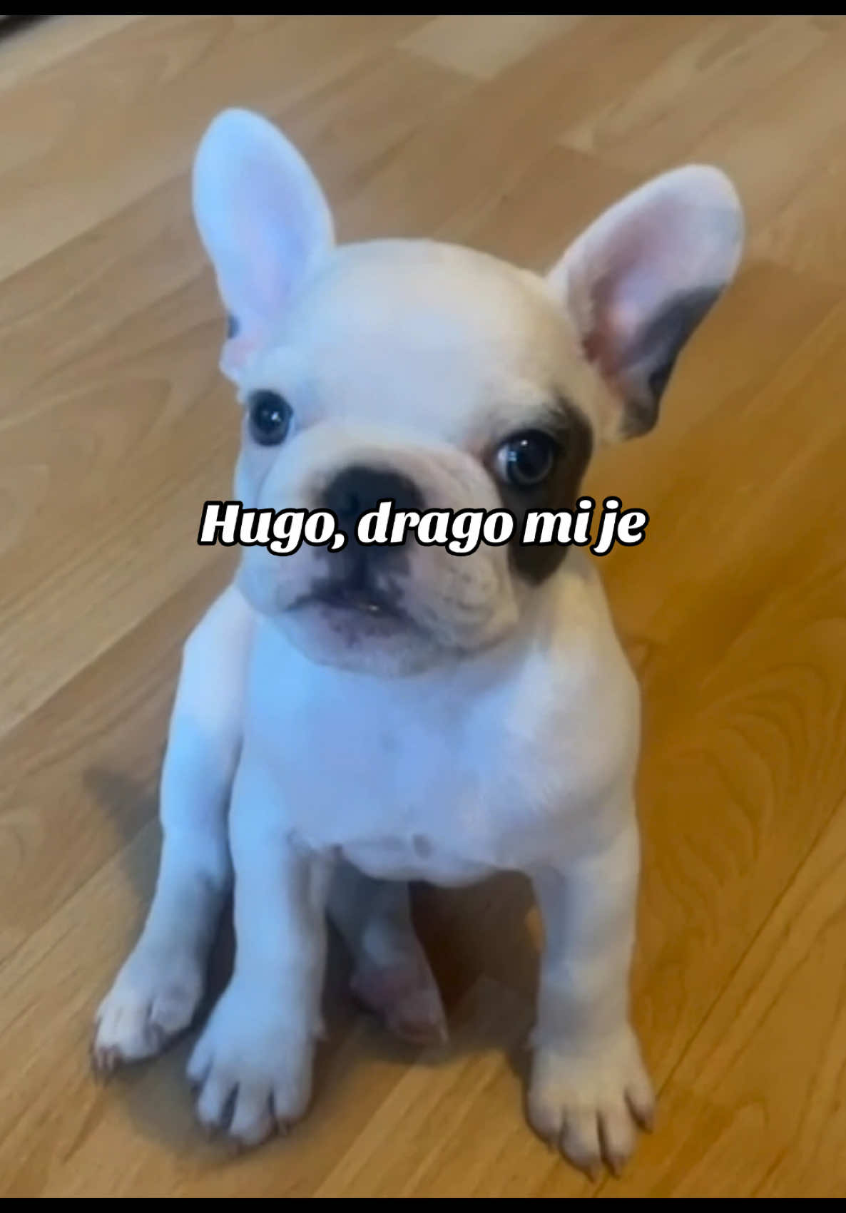 @Anja Djuric