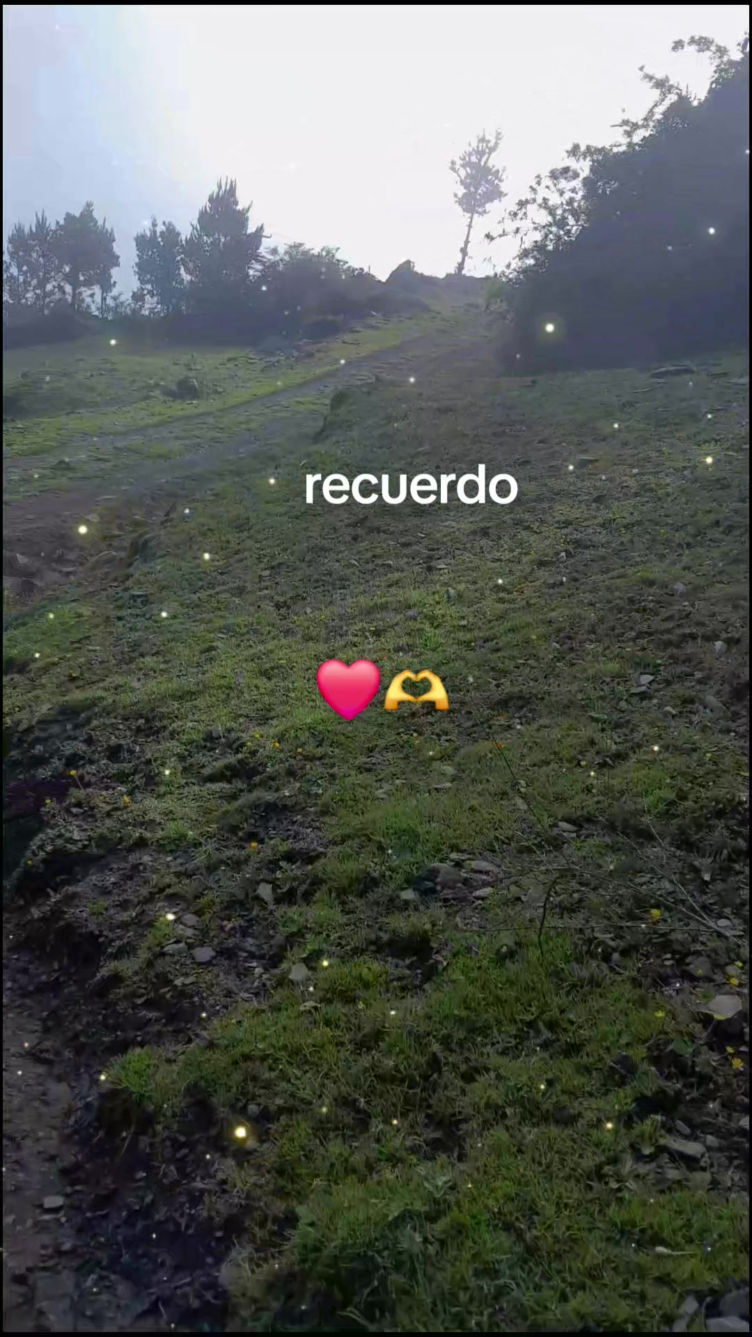 @salome mendez