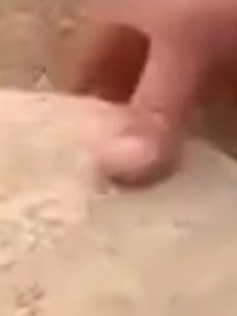@digitl63🇨🇦