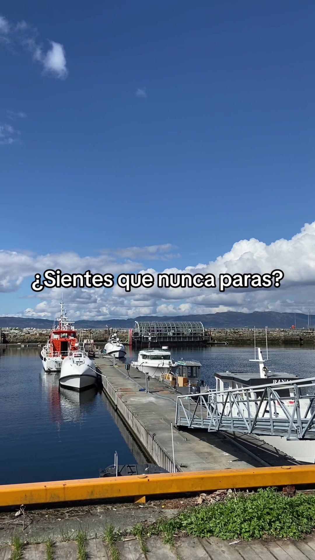 @Ana Garla