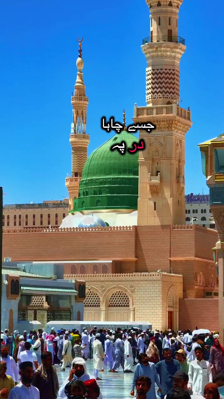 @Hassan🕋muhammad