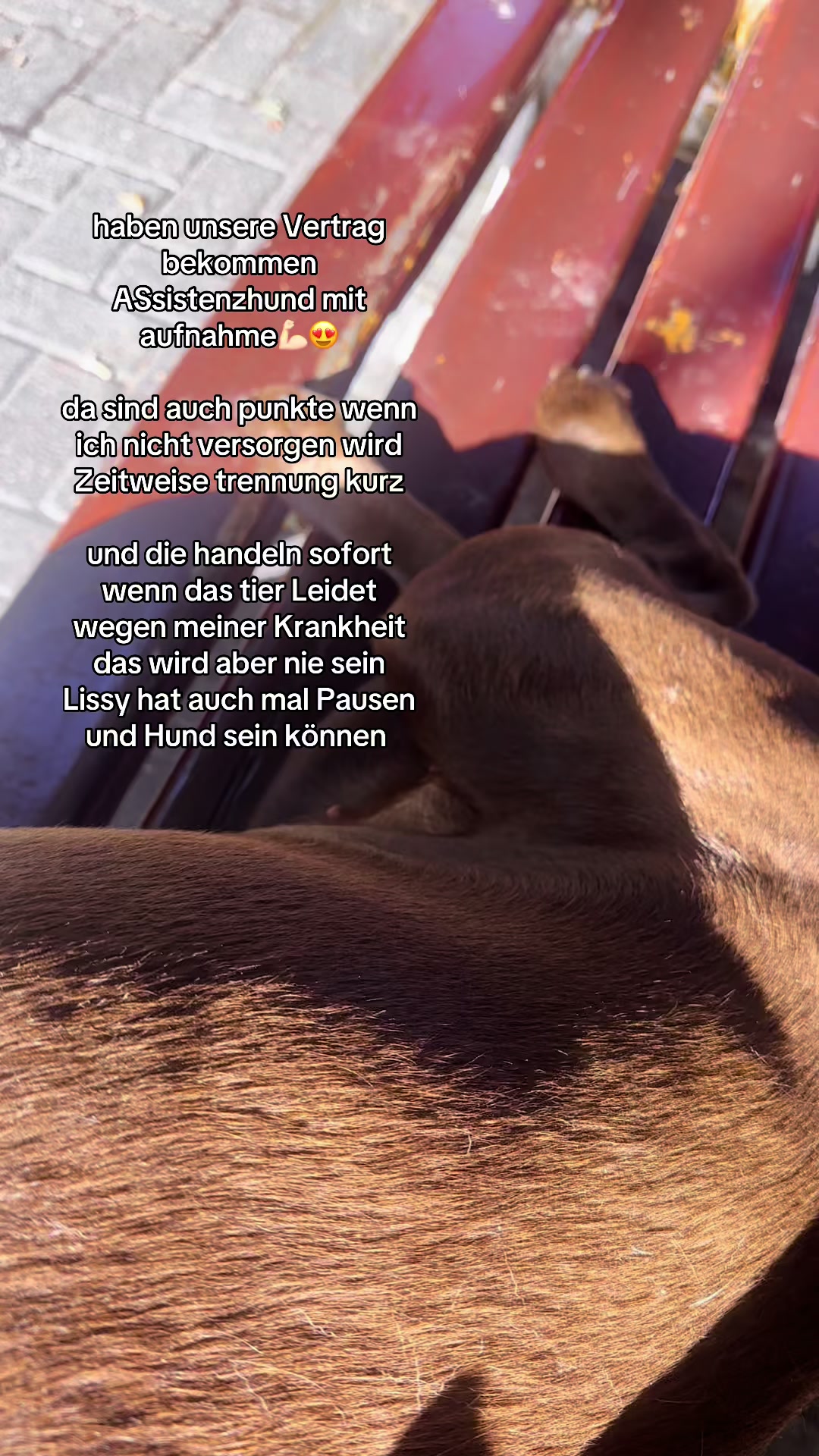 @teamlidialissy