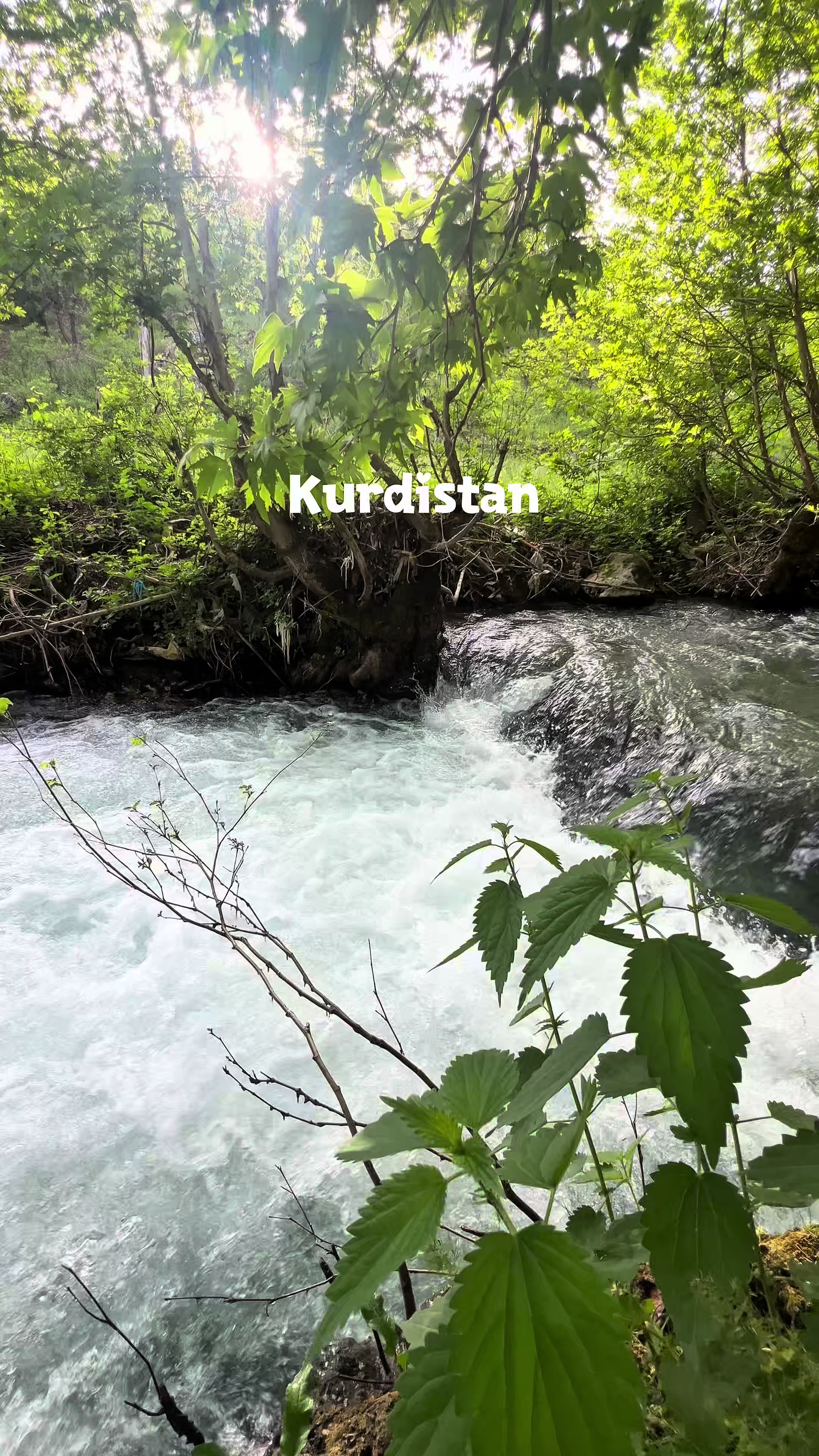 @zakhotourismmedia