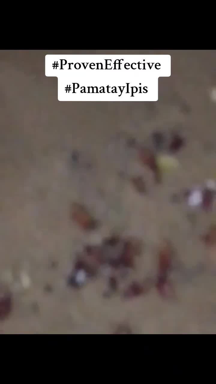 @parkgili.84