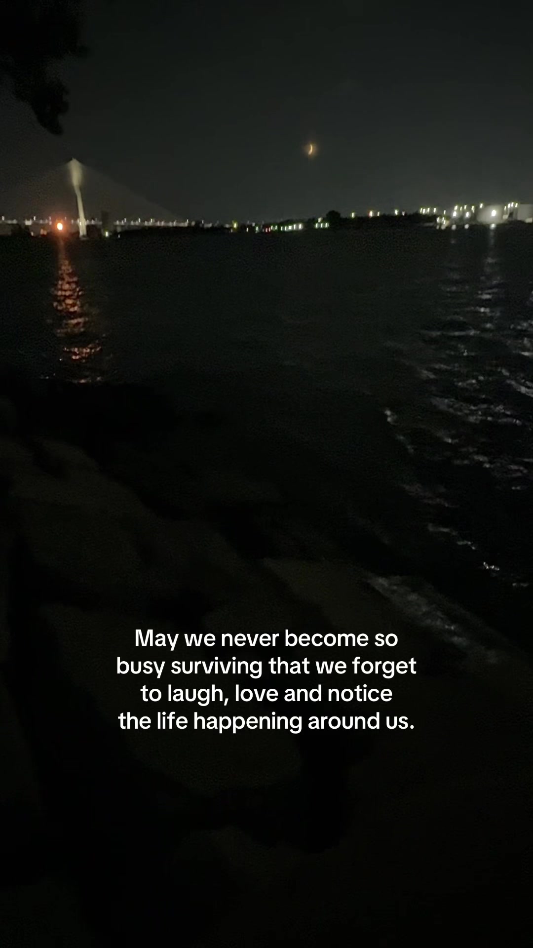 @ℒ ᥫ᭡