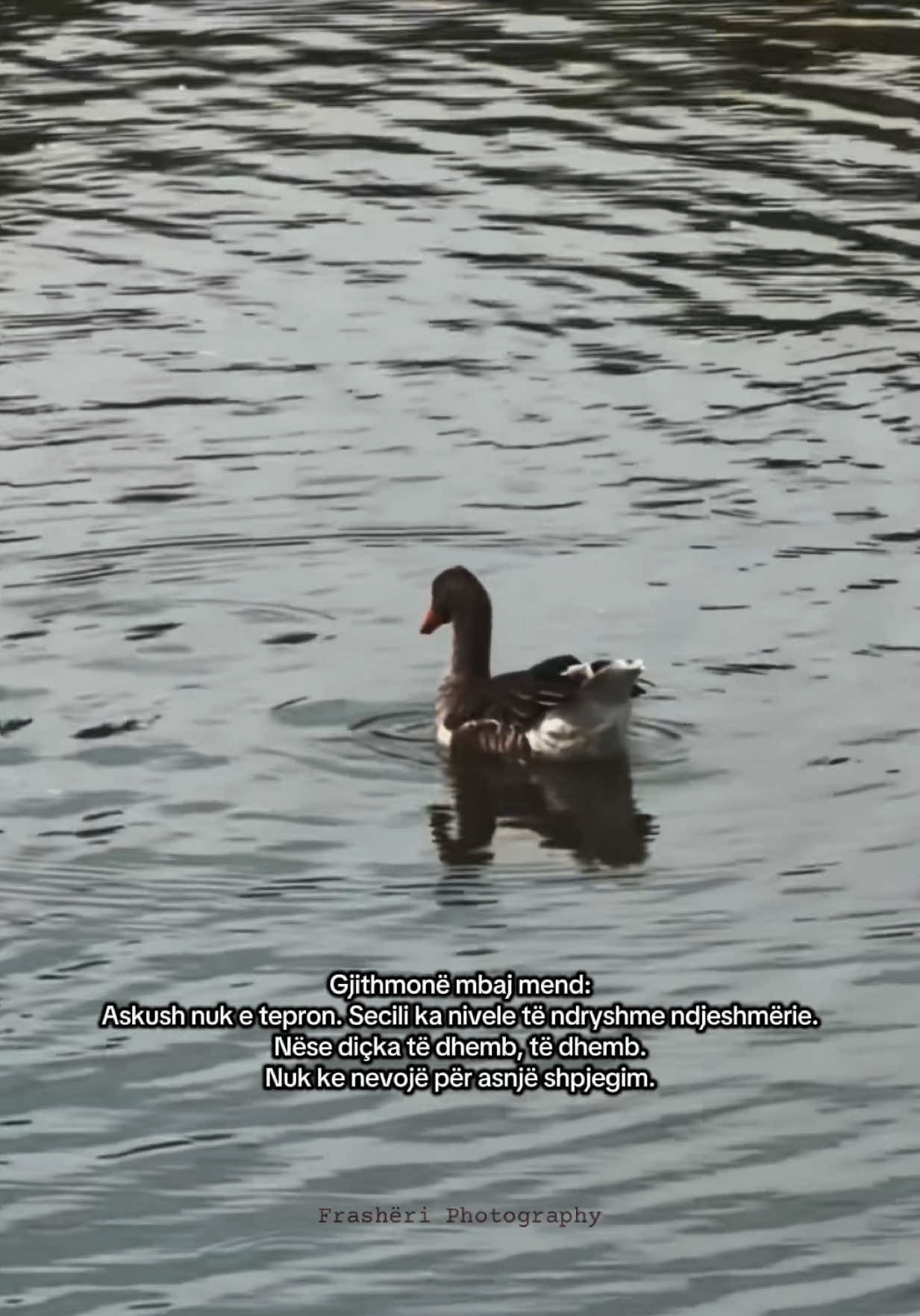 @𝐿𝓊𝓂𝑒𝓃 𝒷𝓎 𝐸𝓇𝒶𝓁𝒹𝒶