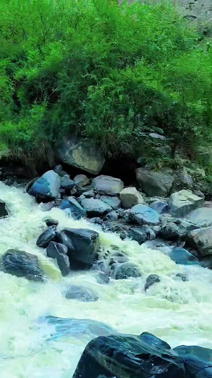 @hassanjan