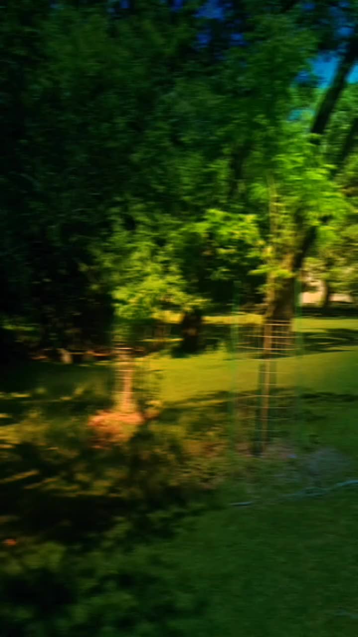 @𝑺𝒐𝒖𝒕𝒉𝒆𝒓𝒏♫♡♫𝑮𝒊𝒓𝒍