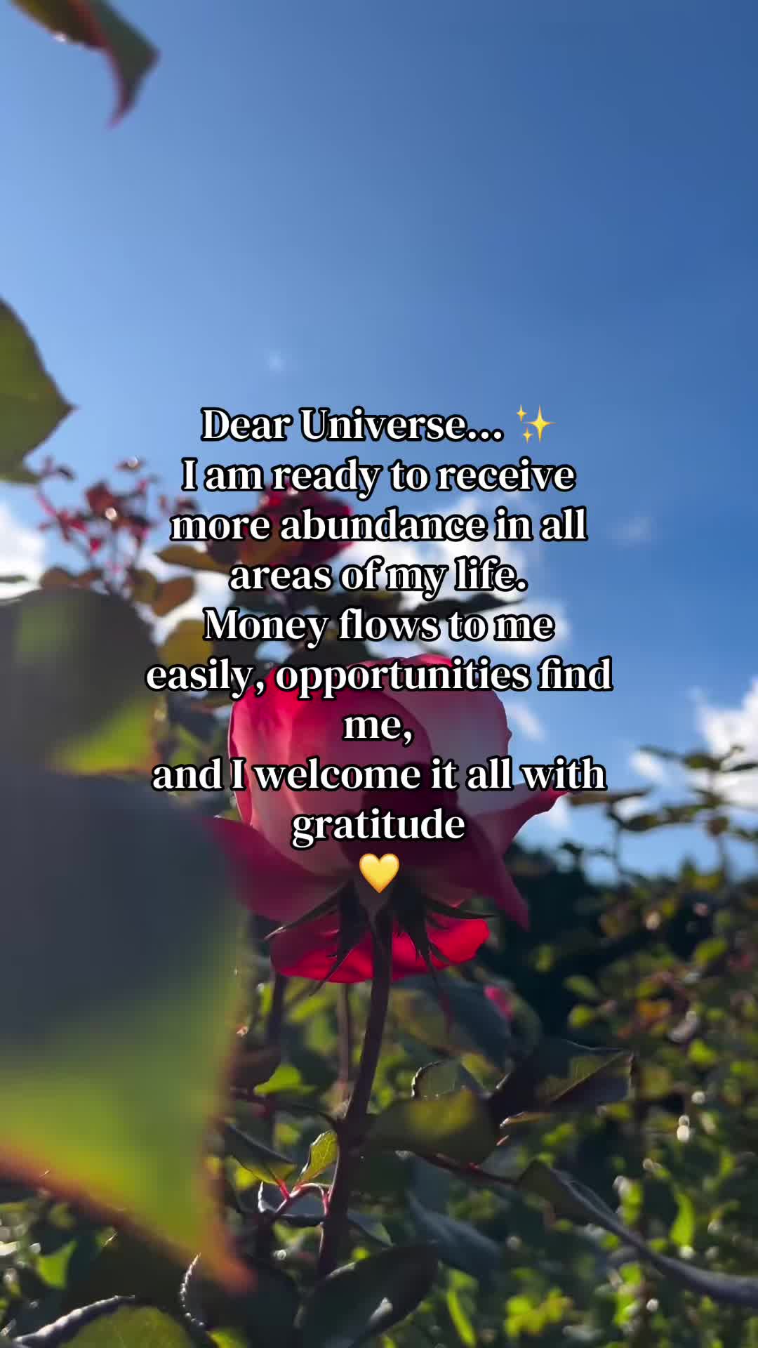 @AbundanceFlow*Manifestation