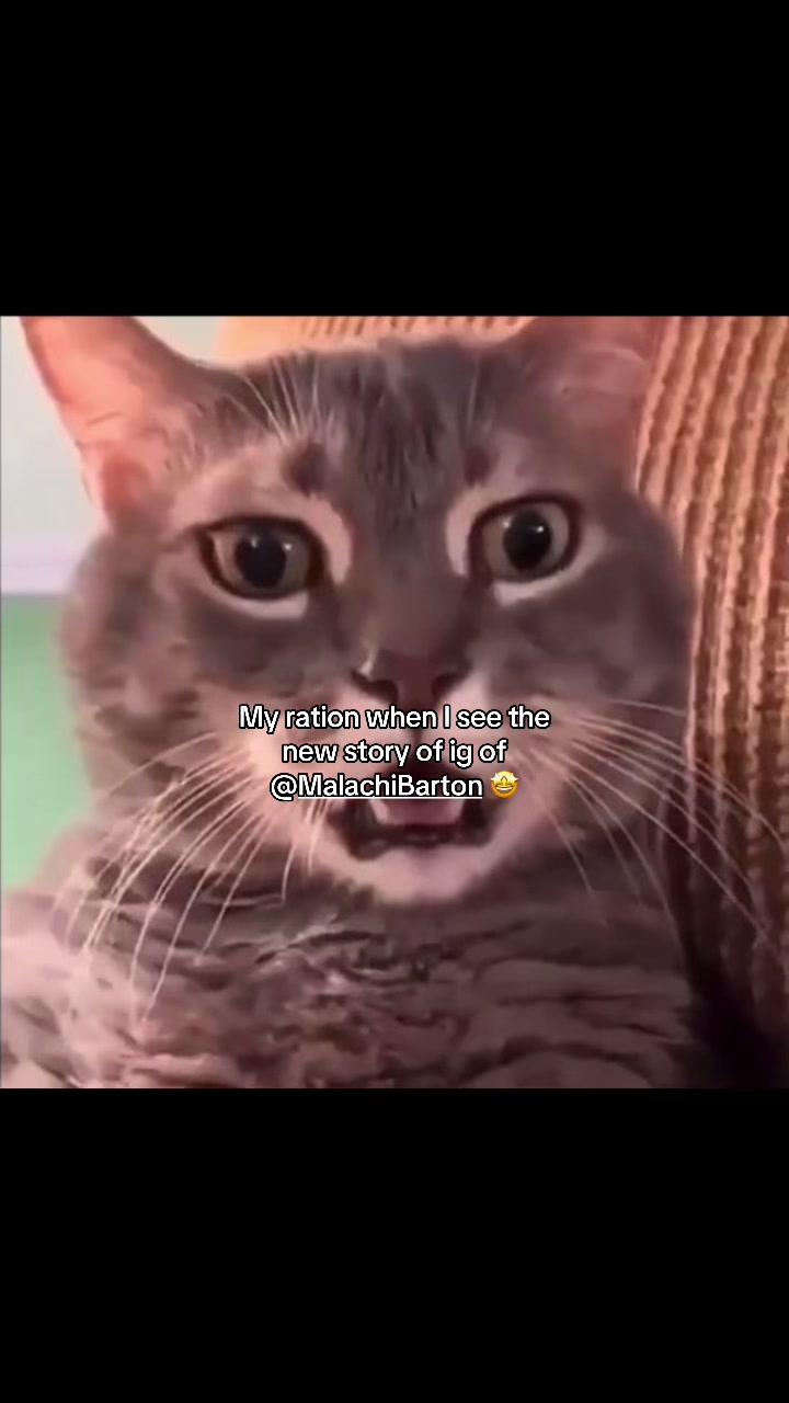 @Alayy