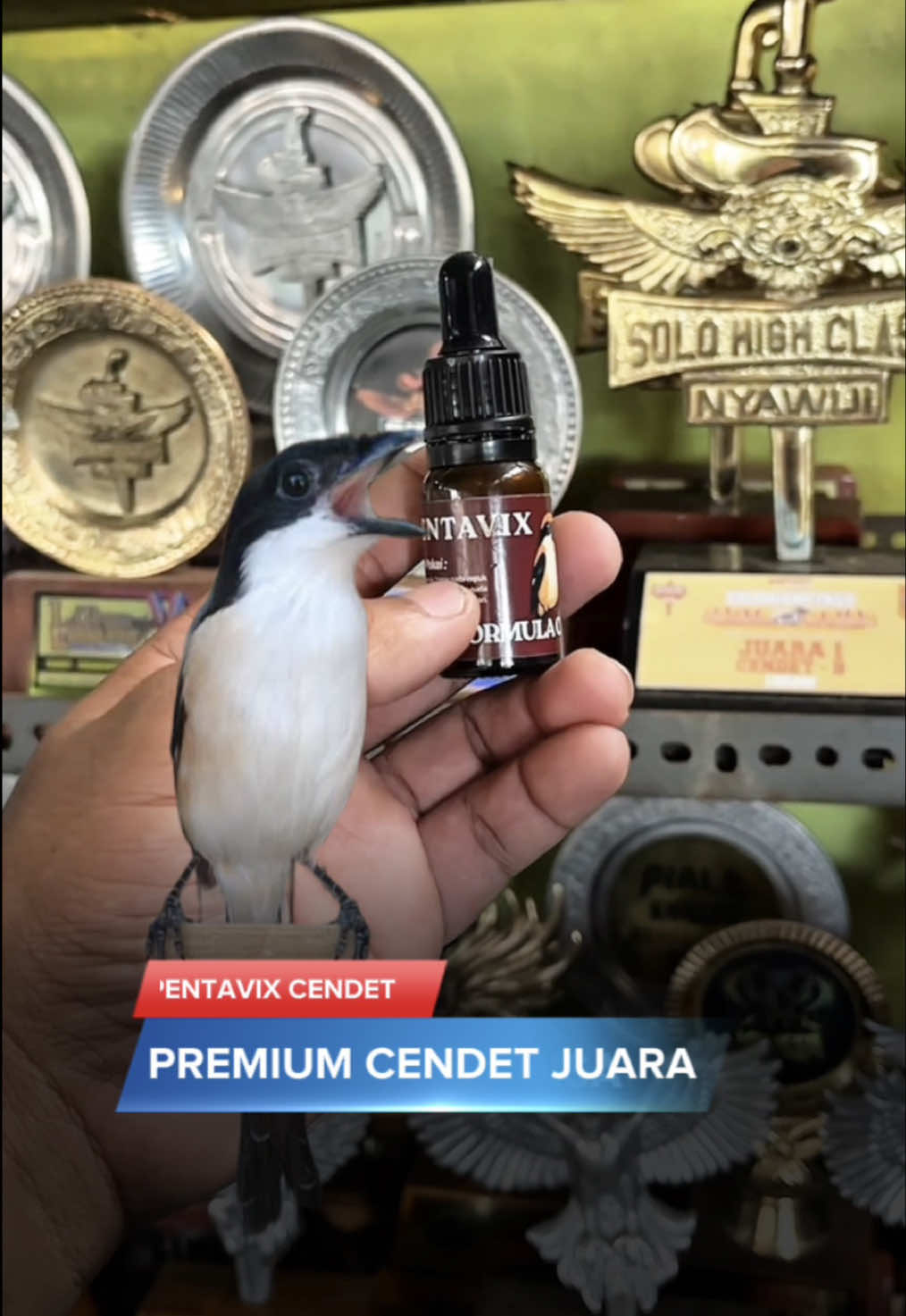 @KICAUNESIA ONLINE