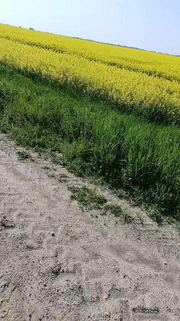 @Артём Жерносенко