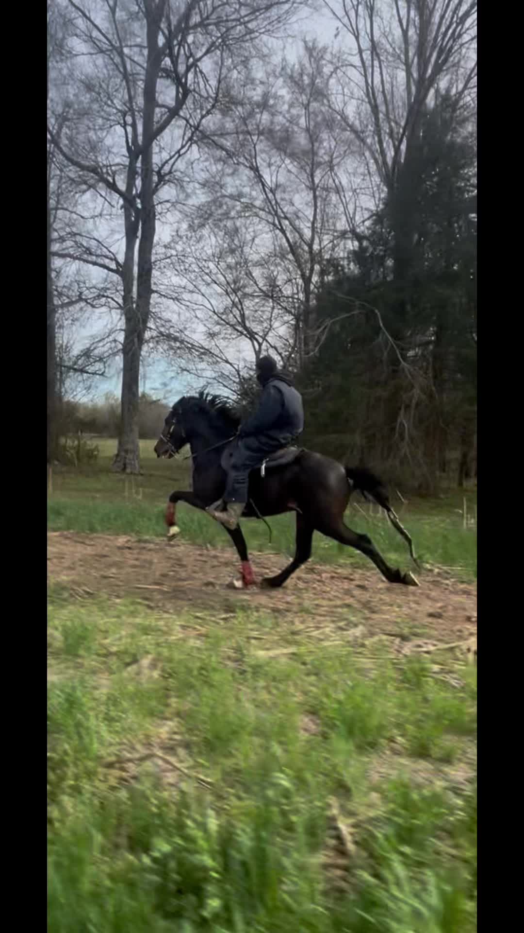 @TSmoov🐴 💰