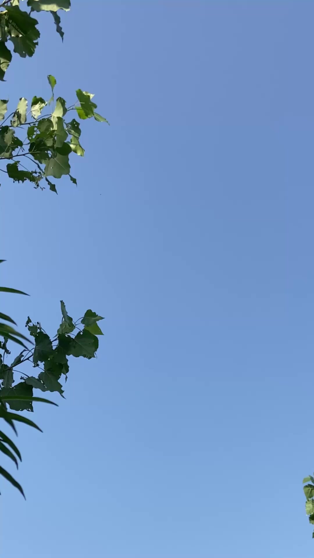 @عبدلمعیز&hearts;️🕊️