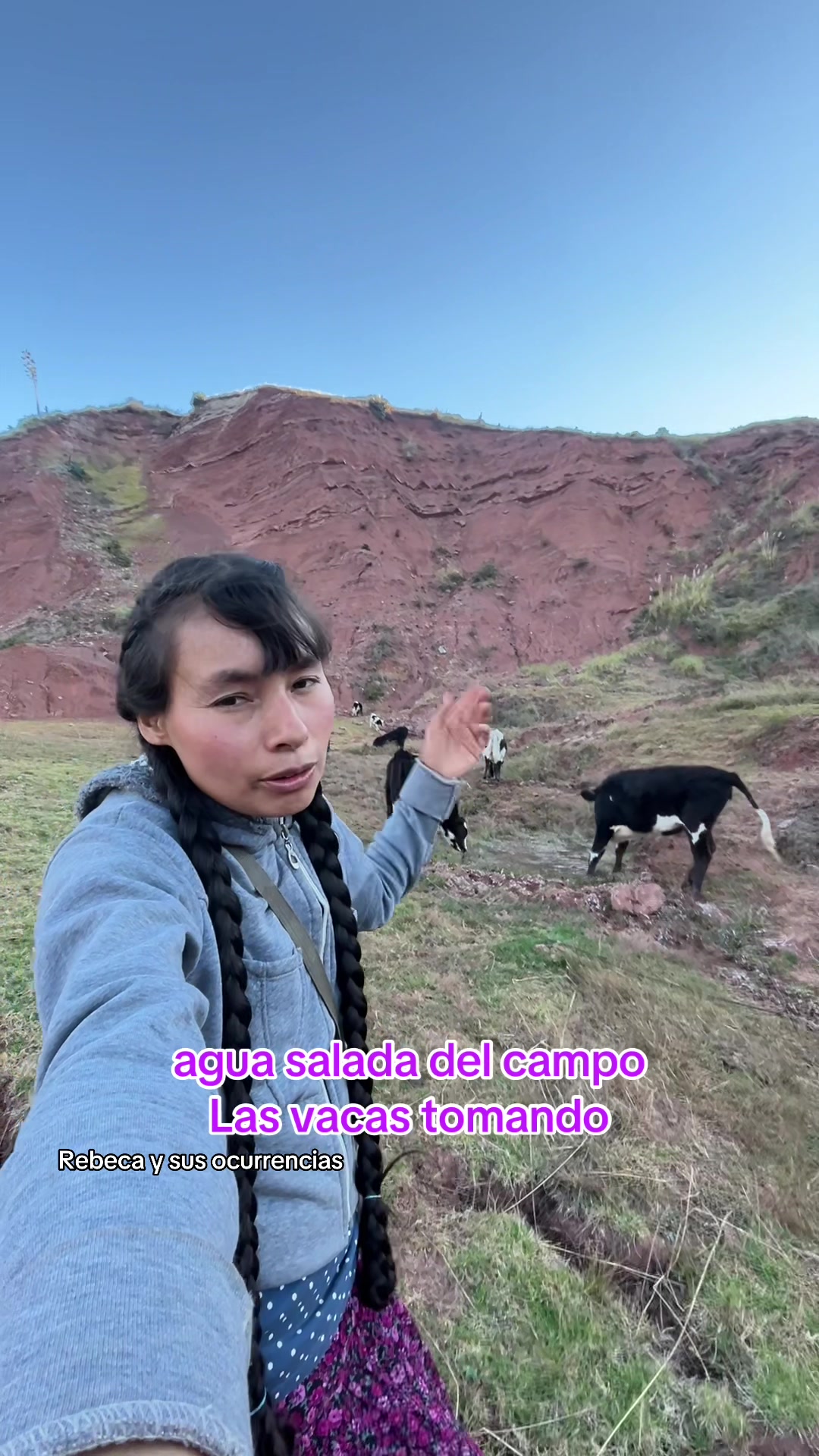 @🐈Rebeca y sus ocurrencias