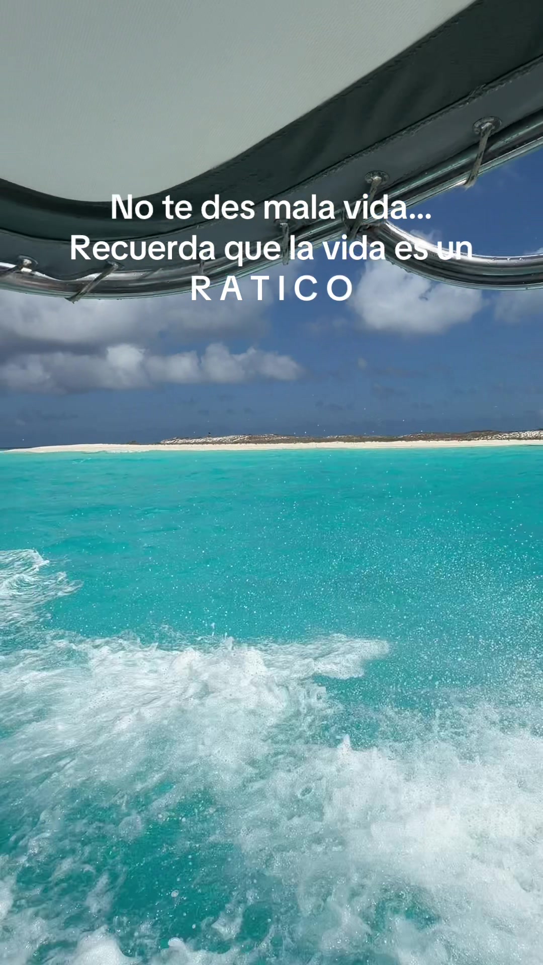 @Tuna Los Roques 🌵