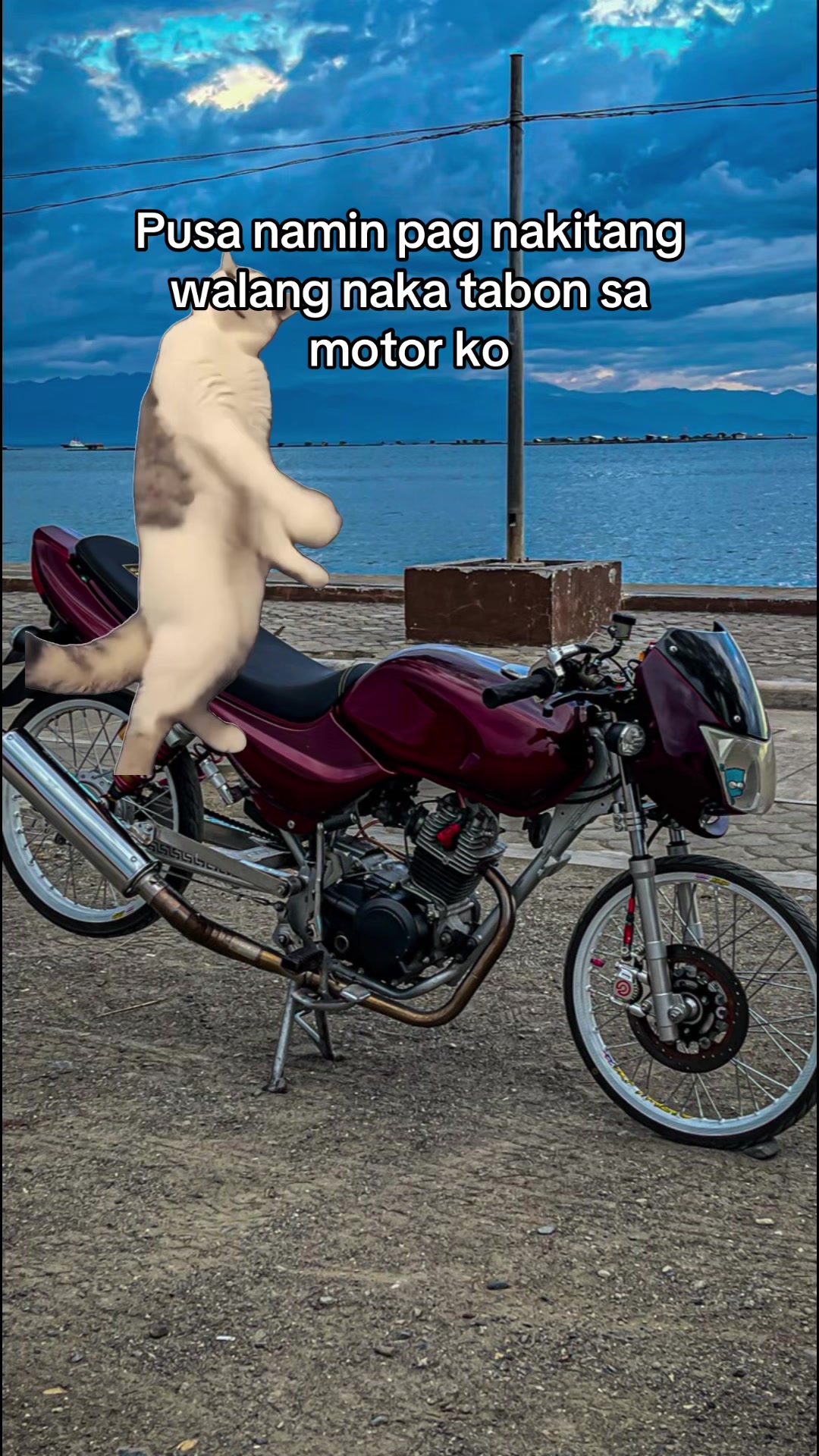 @Hanī