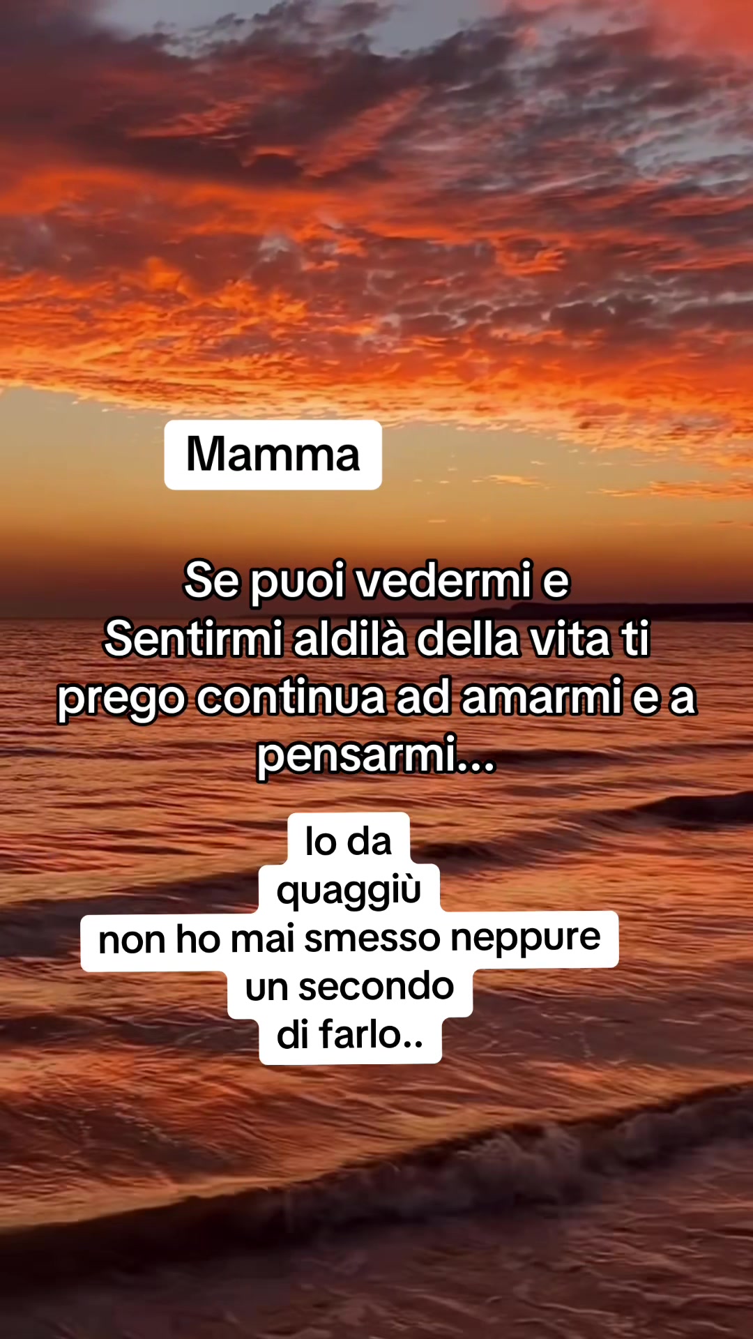 @PRI77