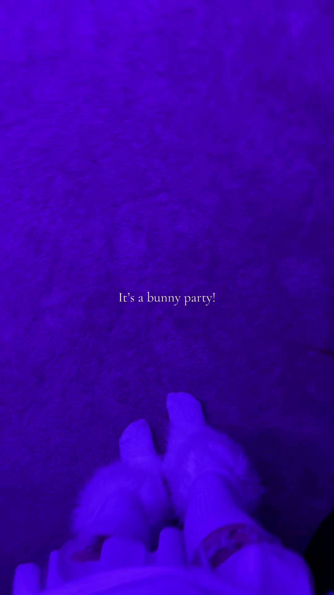@senpaibunnzy ෆ ˚ ˖ ࣪
