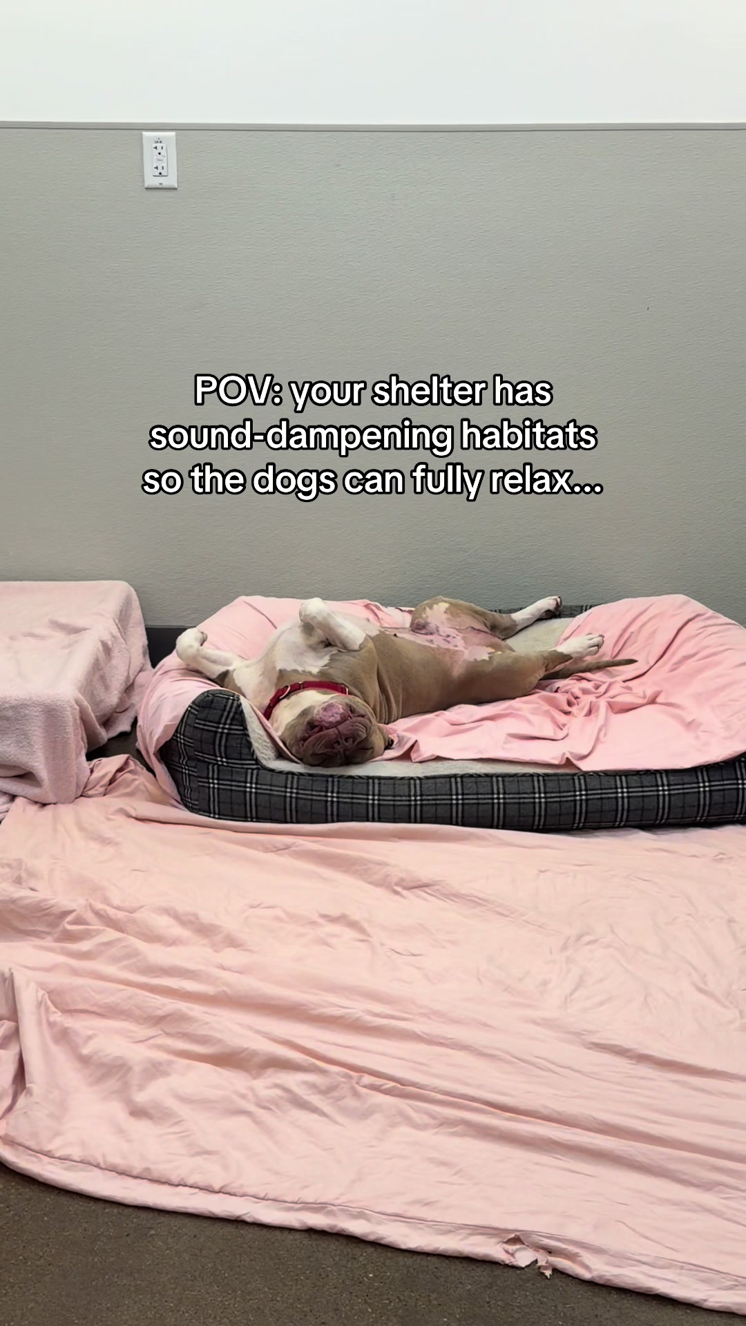 @San Diego Humane Society
