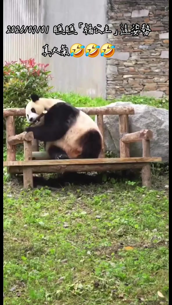 @福寶需要愛的抱抱