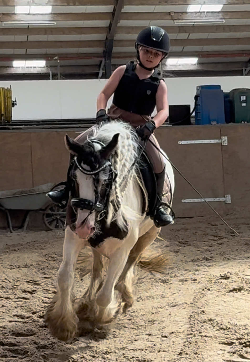 @Young Rider Journey🐴