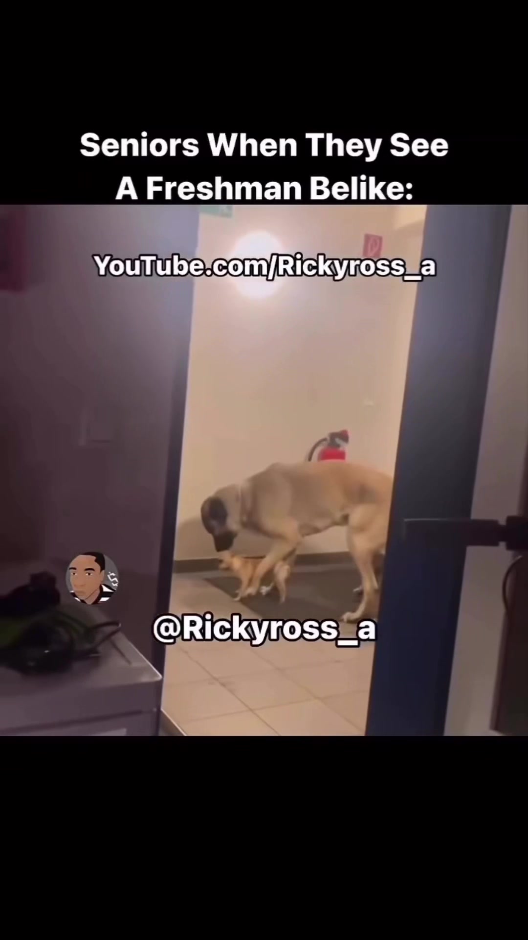 @Rickyross_a