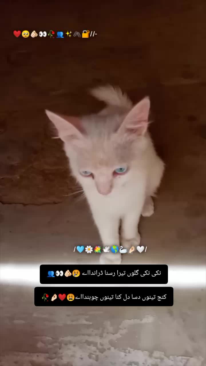 @🌿 یکطرفہ مُحبت 🥺❤️&zwj;🩹🥀