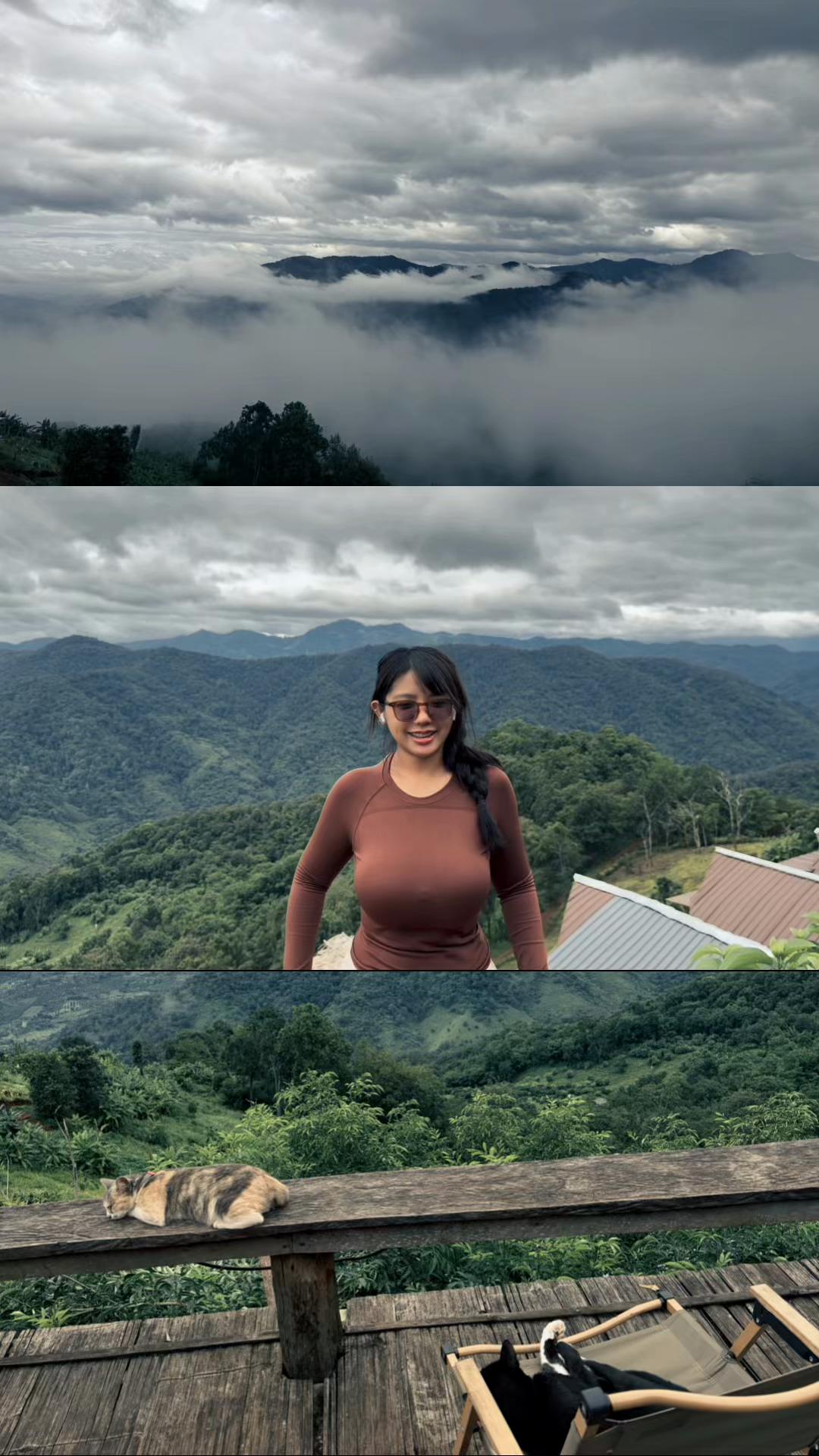 @asiasharkyx