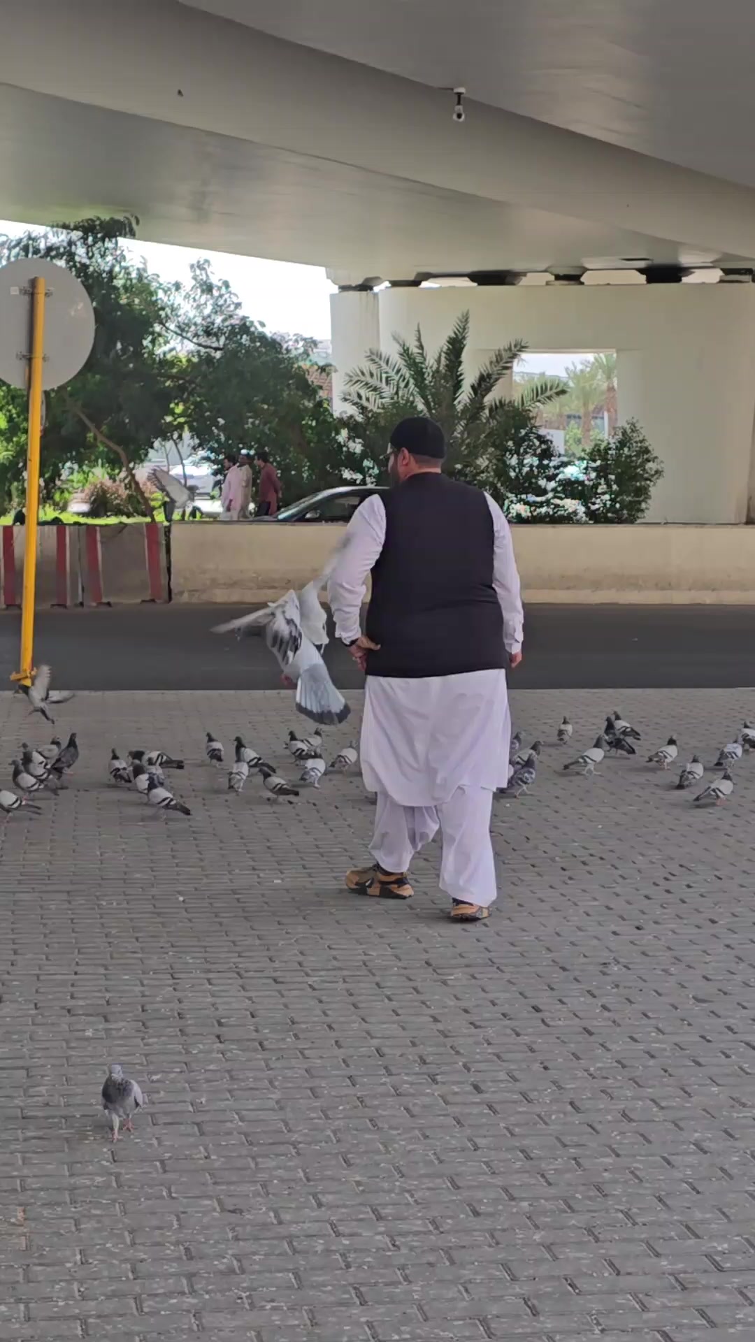 @🇵🇰Hassan🇸🇦