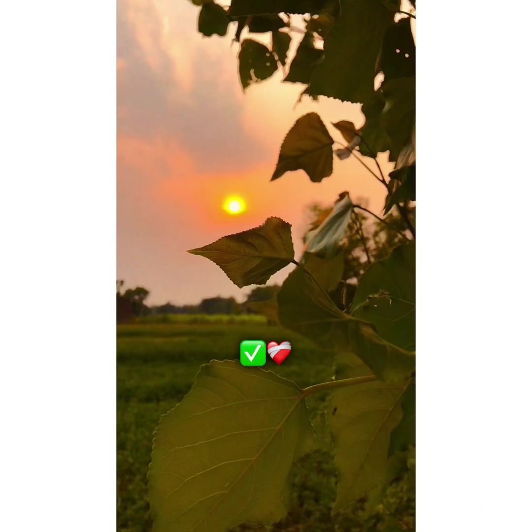 @𝐏𝐔𝐍𝕵𝐀𝐁👳🏻♂️🌾