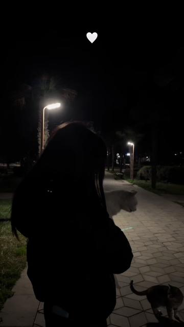 @๐ข๐๐๐ ๐ฉ