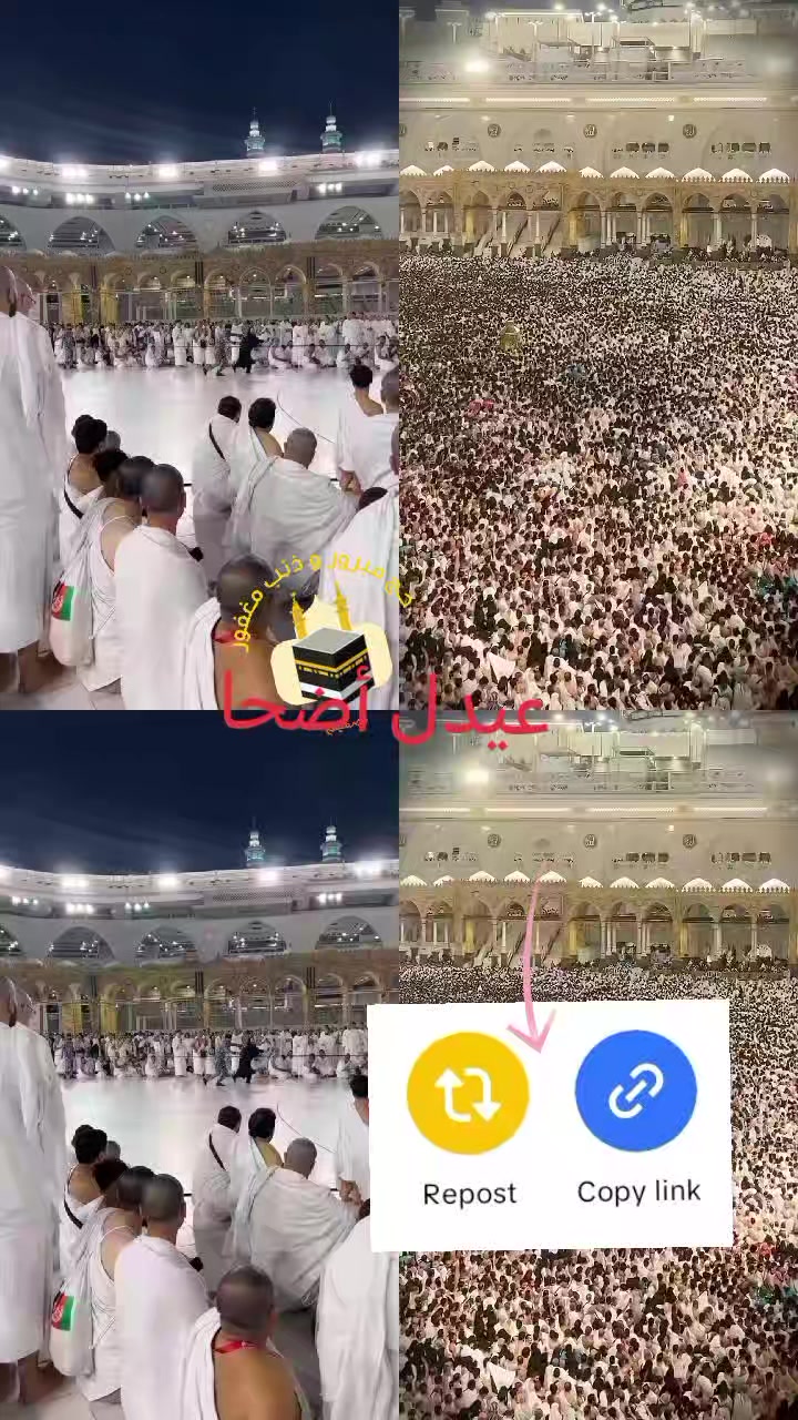 @Hamzaa habiib1