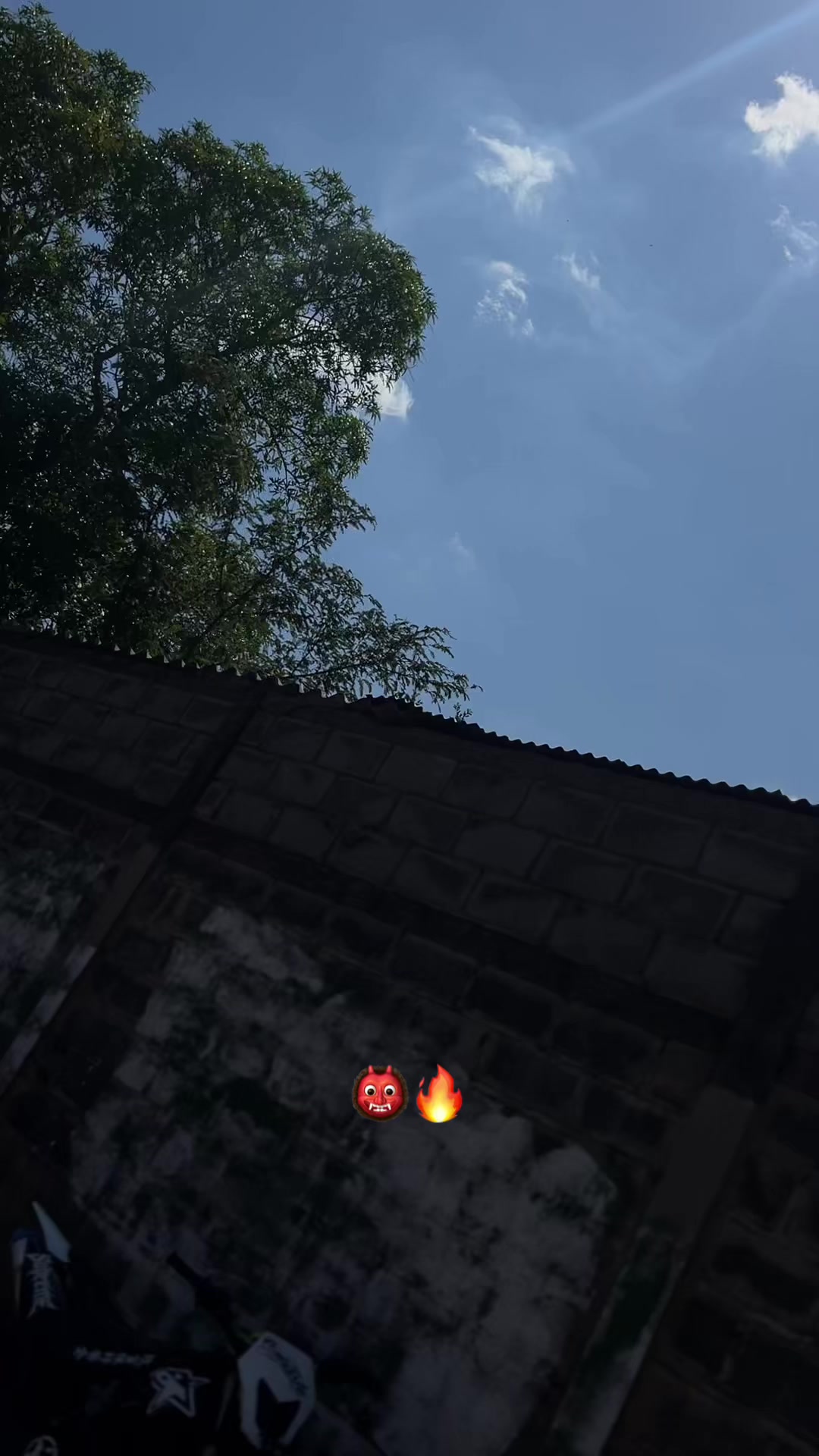 @Nelson 🦍