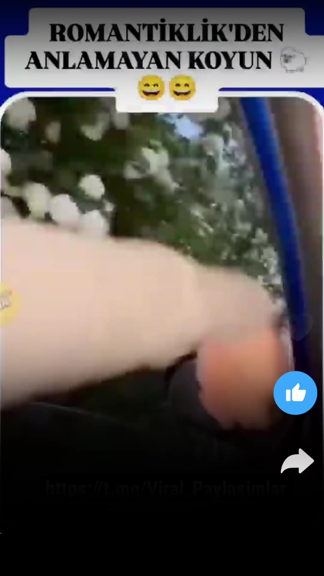 @damocles2424