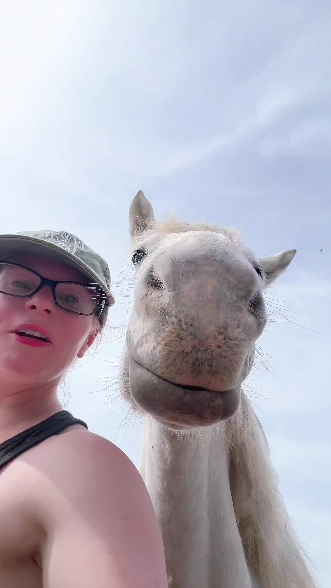 @Free Spirit Equestrian