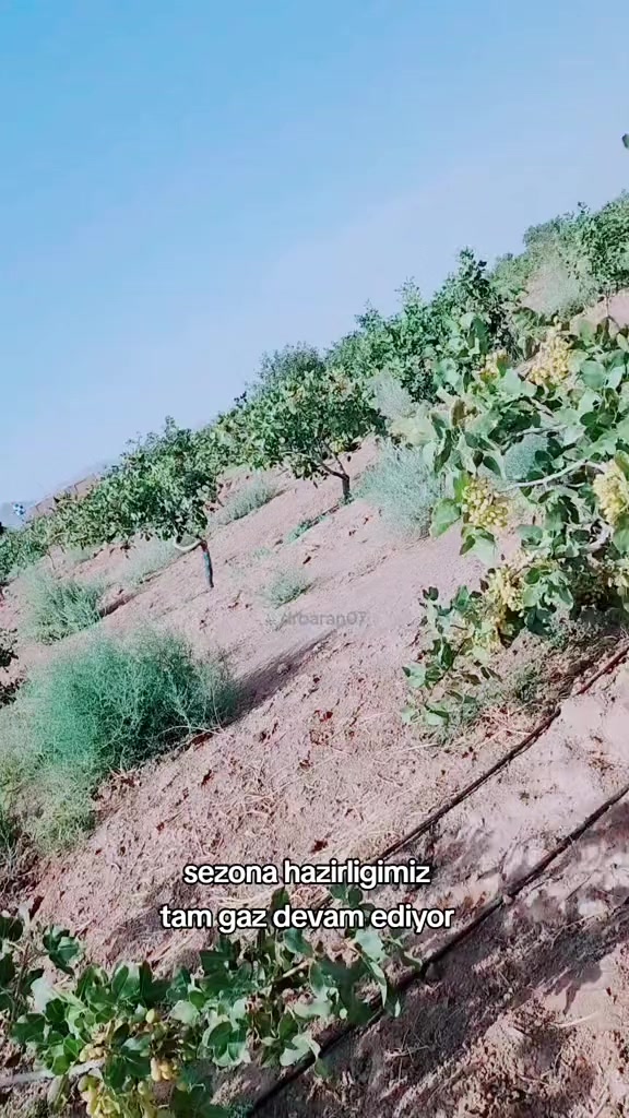@BaranGokmen07