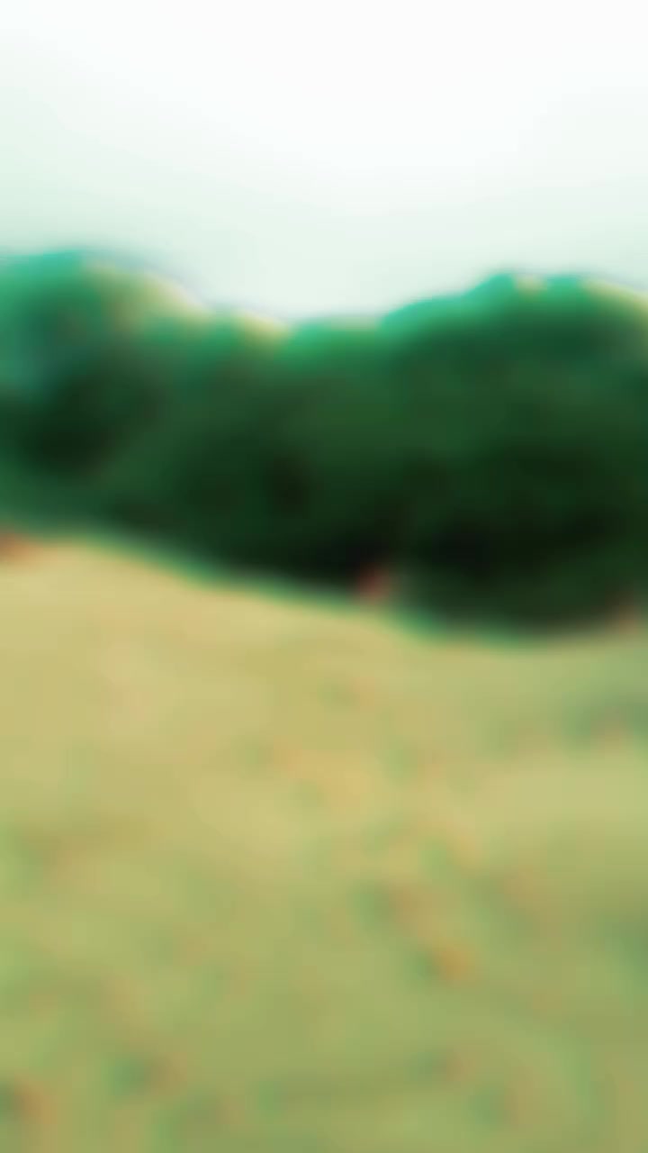 @Syed Kashif Bukhari