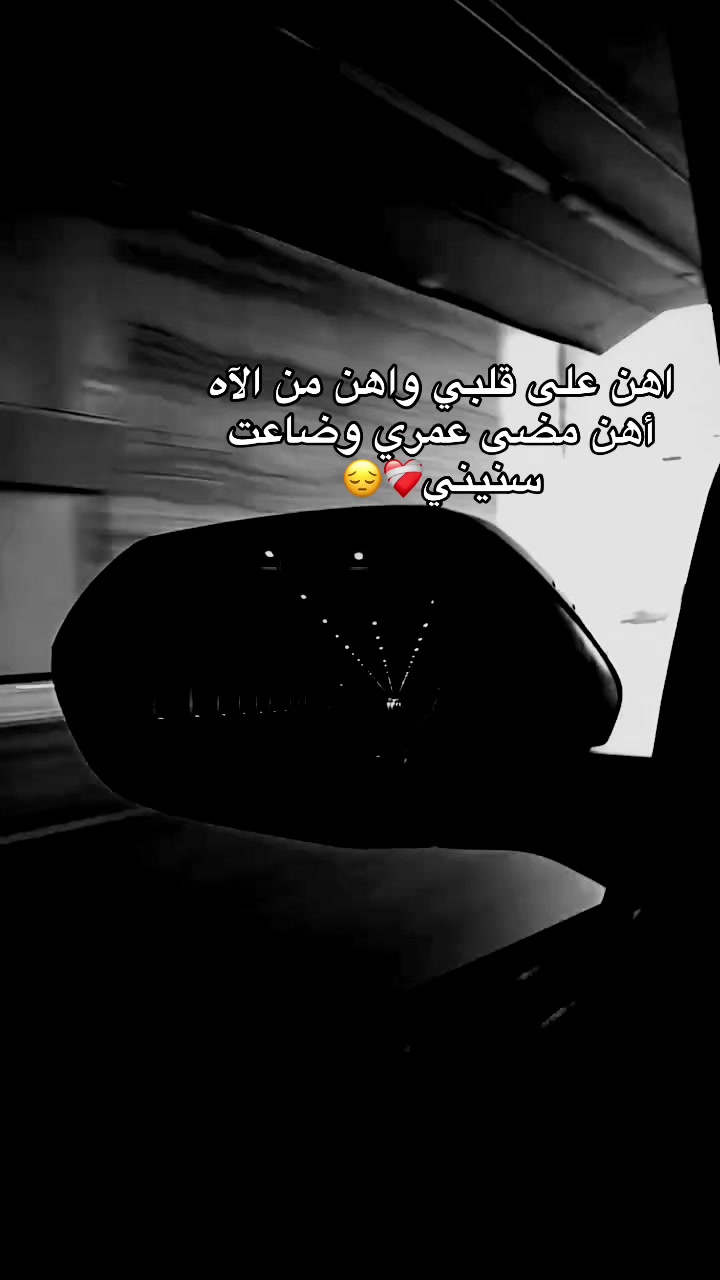 @🕊️❤️