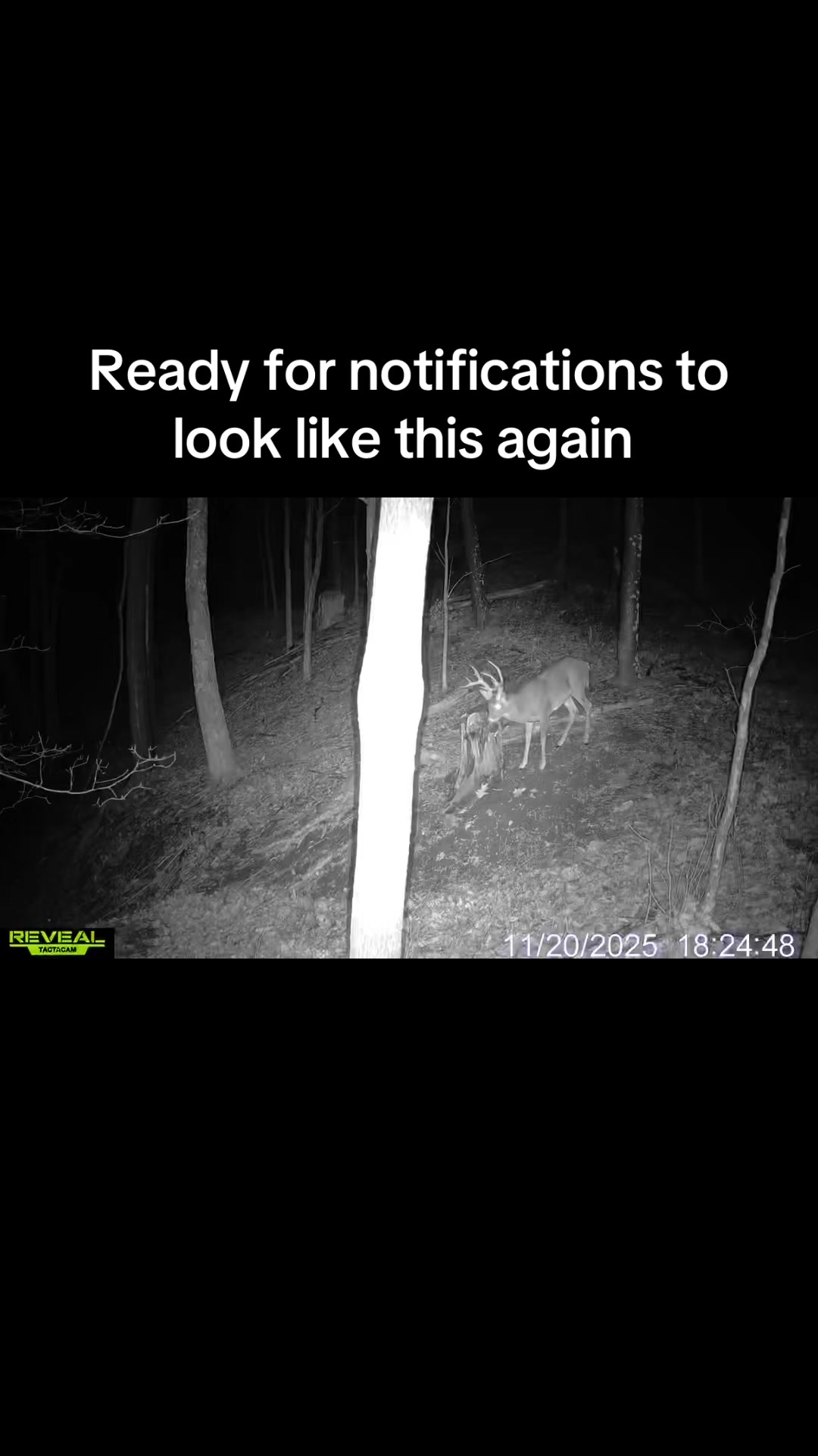@Nick Milam