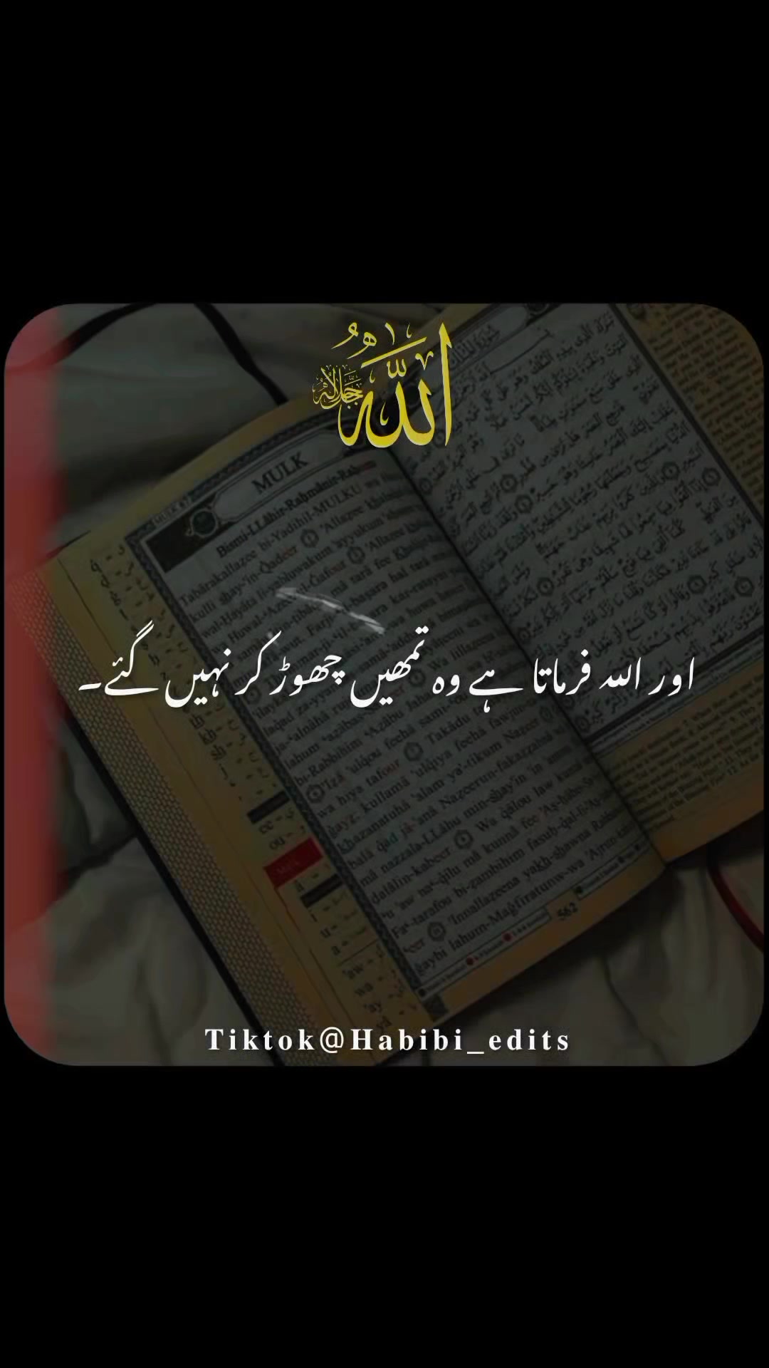 @𝐇𝐚𝐛𝐢𝐛𝐢 𝐞𝐝𝐢𝐭𝐬🌸