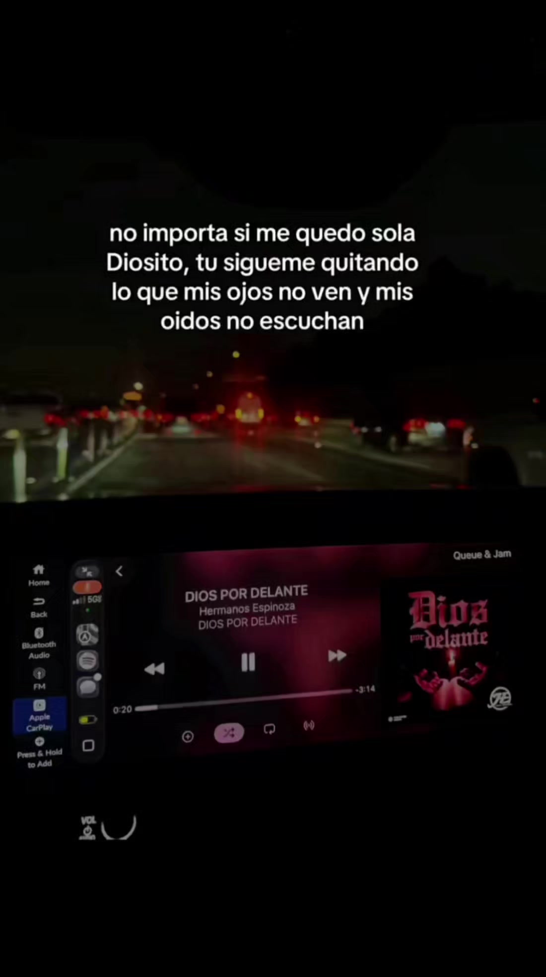 @La Pérez 🦂🦇🌎USF☄️⛰️🎠🎲🌺🪸