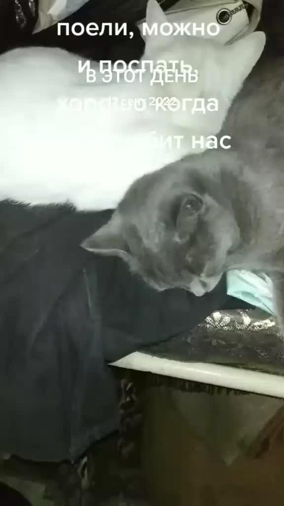 @Юрик