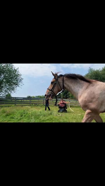 @Auntie Tannas Funny Farm